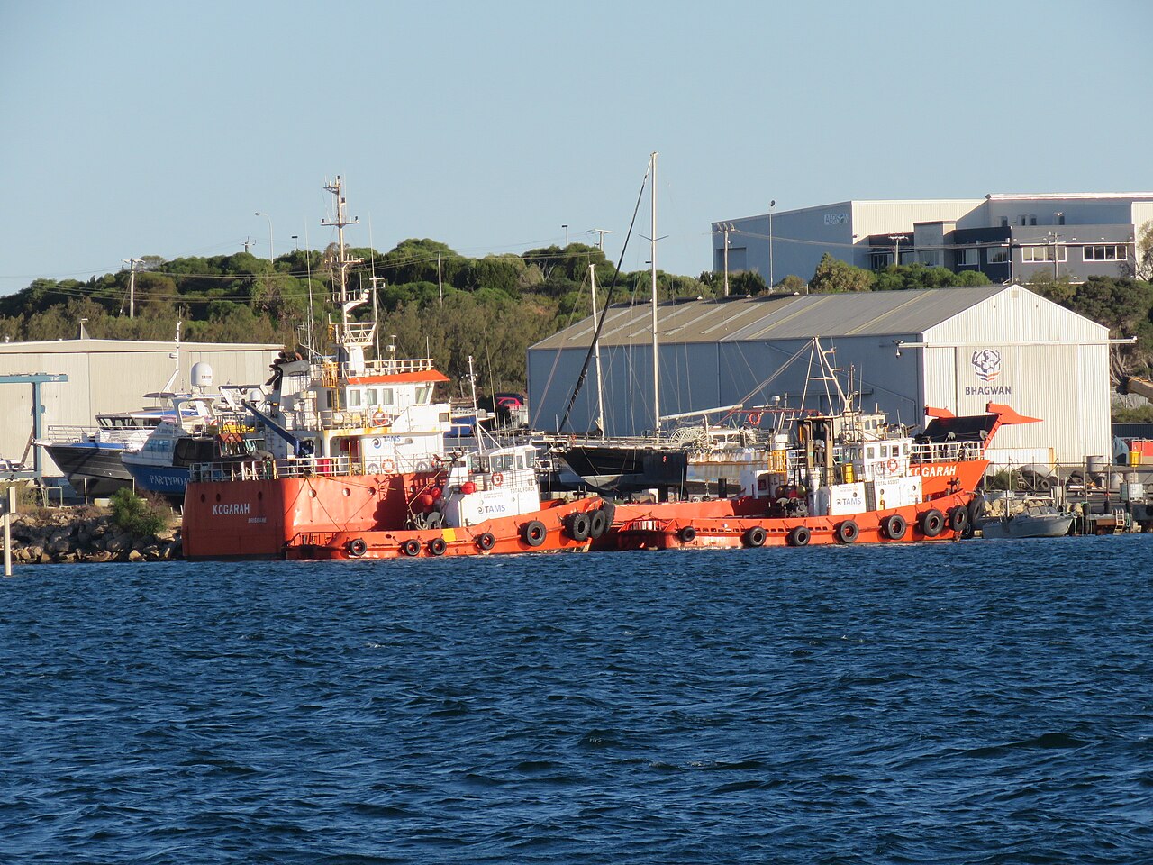 Vessel photo for Coral Pioneer